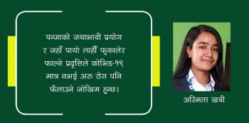 कोभिड महामारीमा पन्जाको प्रयोग : जाने सुरक्षा, नजाने जोखिम