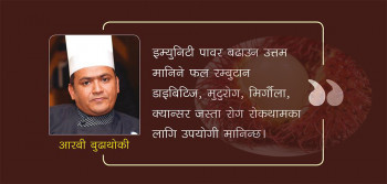 स्वास्थ्यवर्द्धक फल रम्बुटान : के-के छन् फाइदा?