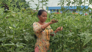 तरकारीखेतीबाटै छोरीलाई चिकित्सा पढाइरहेकी उर्मिला