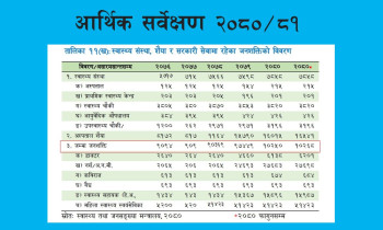 आर्थिक सर्वेक्षण प्रतिवेदनमा स्वास्थ्य जनशक्तिको विवरणमा त्रुटि नै त्रुटि