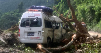 गुडिरहेको माइक्रो बसमाथि रुख ढल्यो, घाइतेमध्ये एक जनालाई थप उपचारका लागि काठमाडौं ल्याइयो