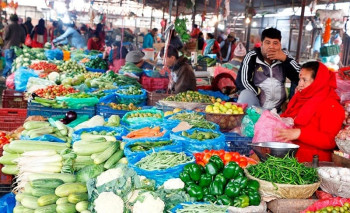 भारतबाट आयात हुने तरकारीको अब नियमित विषादी परीक्षण हुने