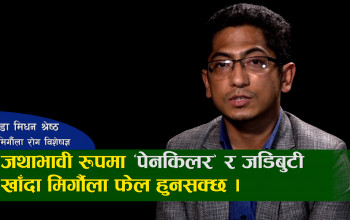 के कारणले बिग्रिन्छ मिर्गौला? जोगाउने कसरी? डा मिधन श्रेष्ठसँग भिडियो वार्ता